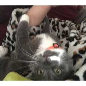 Meet your Posher, Emma